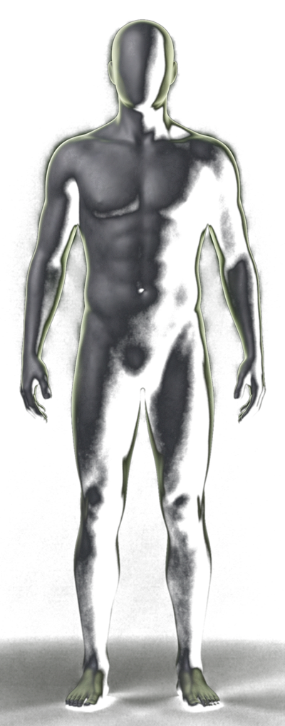Body composition figure